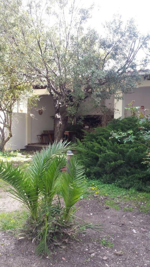 Apartamento La Terrazza Sul Parco Oristano Exterior foto